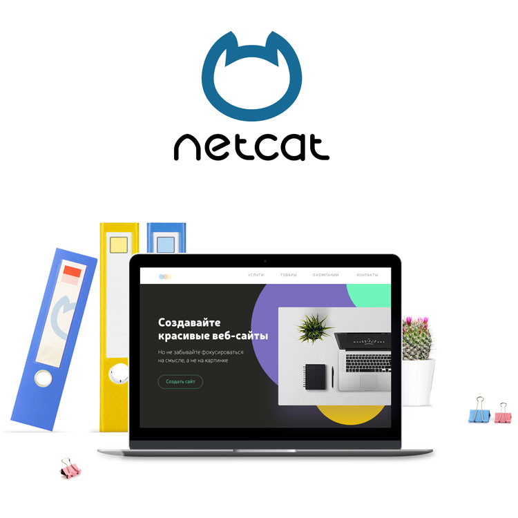 Купить Netcat Standard