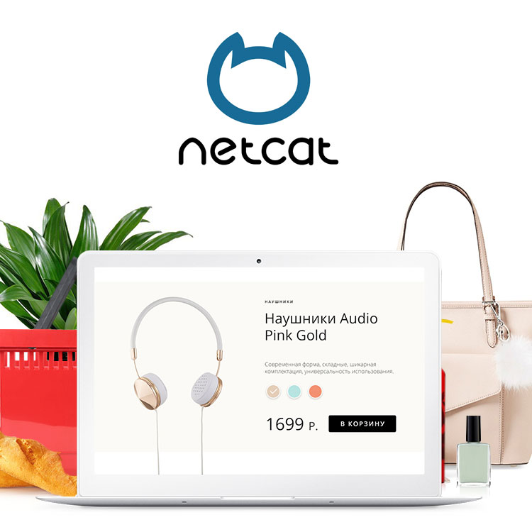 Купить Netcat Business