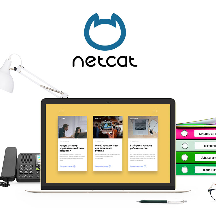 Купить Netcat Сorporate