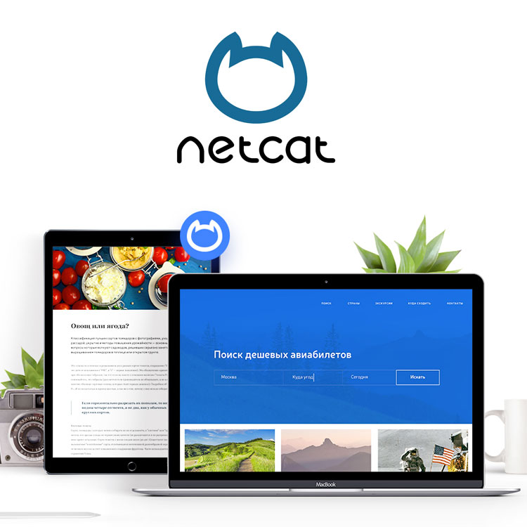 Купить Netcat Extra